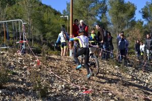 cyclo la ciotat 17 dec 2017 43 copier