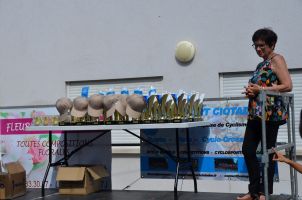 la ciotat 9 juin 2018  461   Copier 