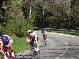 grd prix la ciotat 23 mars 2019  1 