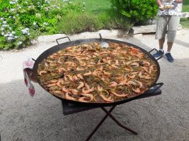 Journ  e Ch. pa  lla 15 sept 19 3