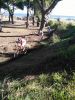 Cyclo cross Hyeres 22 dec. 2019 2