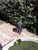 Resized 20200408 153852