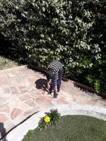 Resized 20200408 153852