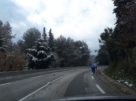 stage f  vrier 2018  8 