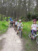 stage v  lo avril 18  1 