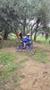 cyclo cross chateau gombert dim 13 oct.jpg10
