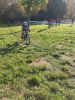 cyclo cross plan de cuques dim 17 nov.jpg21