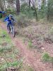 entrainements cyclo cross sam. novembre.jpg1