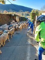 retour d entraint cycloc sam 17 dec.jpg1