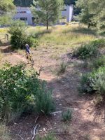 stage c cross vacances toussaint.jpg3